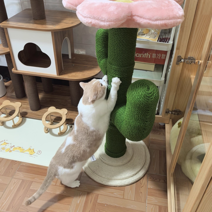 Contemporary Creative Round PVC Plastic Velvet Fabric Hemp Rope Cactus Cat Scratching Post 1-Condo 1-Perch For Bedroom Cuvalon