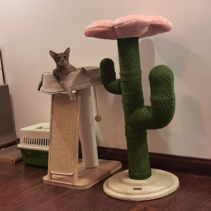 Contemporary Creative Round PVC Plastic Velvet Fabric Hemp Rope Cactus Cat Scratching Post 1-Condo 1-Perch For Bedroom Cuvalon