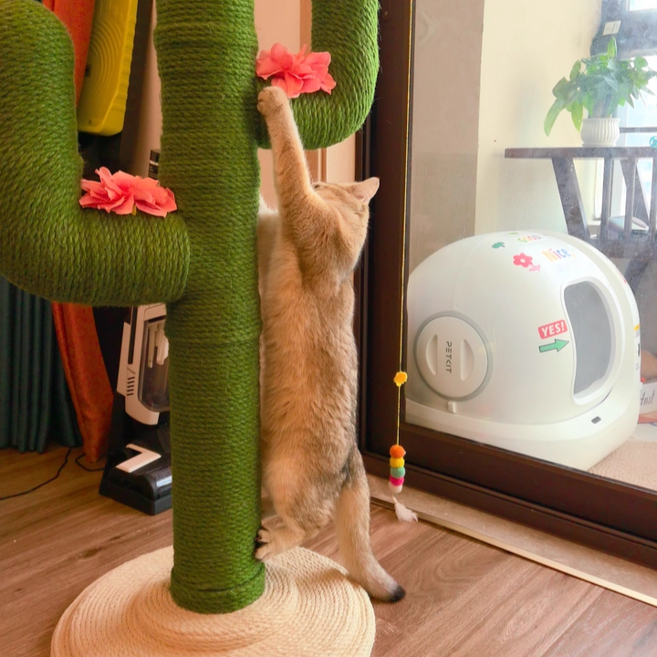 Contemporary Creative Round PVC Plastic Velvet Fabric Hemp Rope Cactus Cat Scratching Post 1-Condo 1-Perch For Bedroom Cuvalon