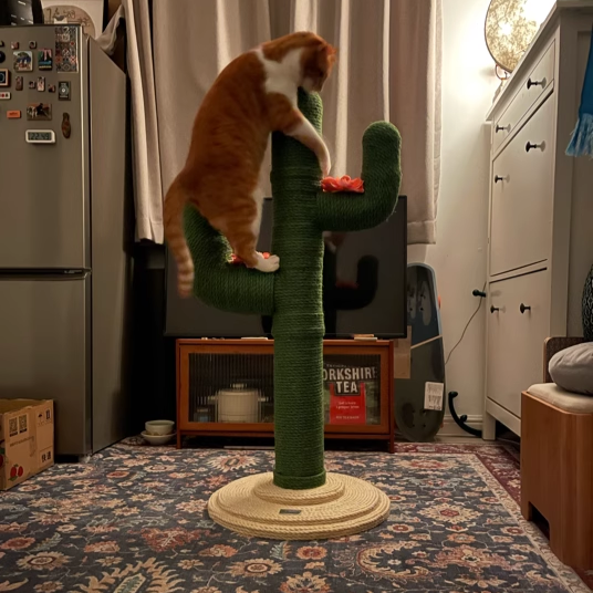 Contemporary Creative Round PVC Plastic Velvet Fabric Hemp Rope Cactus Cat Scratching Post 1-Condo 1-Perch For Bedroom Cuvalon