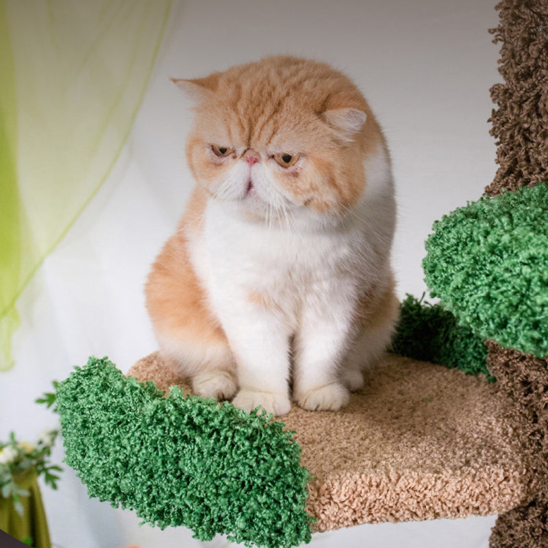 Contemporary Creative Round Eucalyptus Wood Panel Velvet Fabric Tree-Shaped Cat Tree 2/7-Perch For Bedroom Cuvalon