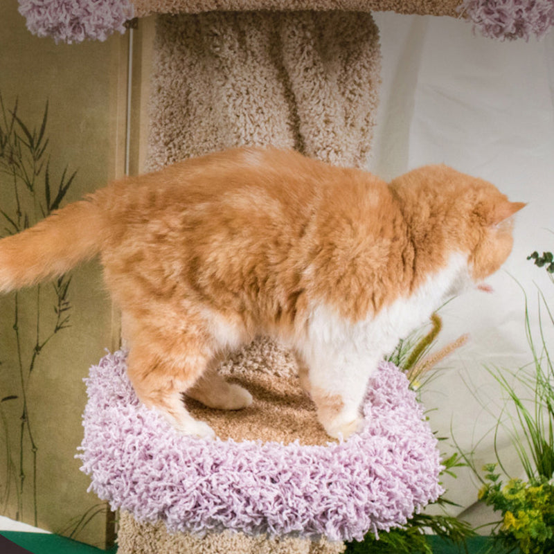 Contemporary Creative Round Eucalyptus Wood Panel Velvet Fabric Tree-Shaped Cat Tree 2/7-Perch For Bedroom Cuvalon
