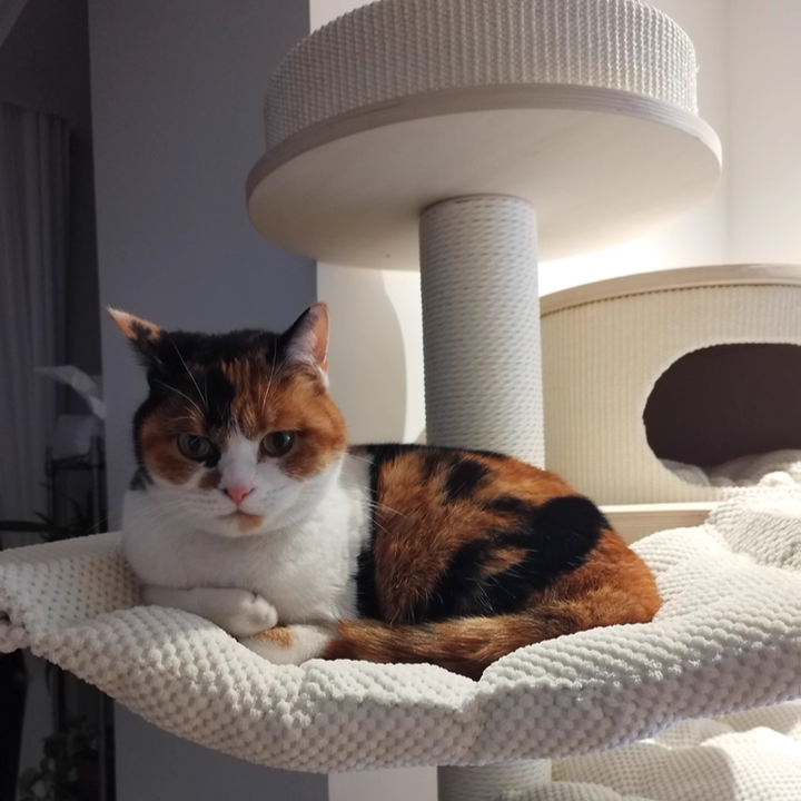 Contemporary Scandinavian Round Plywood Medium-Density Fiberboard Corduroy Paper Rope Cat Tree 2/3-Condo 2/3-Perch For Bedroom Cuvalon