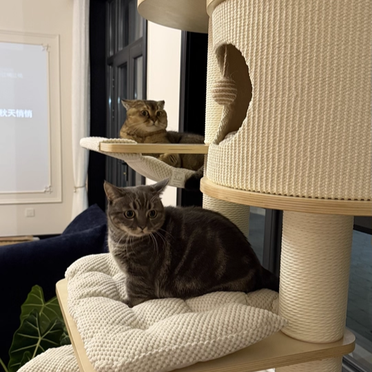 Contemporary Scandinavian Round Plywood Medium-Density Fiberboard Corduroy Paper Rope Cat Tree 2/3-Condo 2/3-Perch For Bedroom Cuvalon