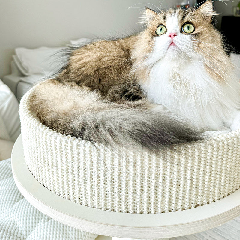 Contemporary Scandinavian Round Plywood Medium-Density Fiberboard Corduroy Paper Rope Cat Tree 2/3-Condo 2/3-Perch For Bedroom Cuvalon