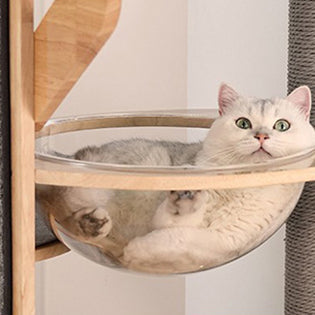 Modern Minimalist MDF Felt Round Cat Tree & Condo 3-Condo 4-Perche 1-Scratching Board For Living Room Cuvalon