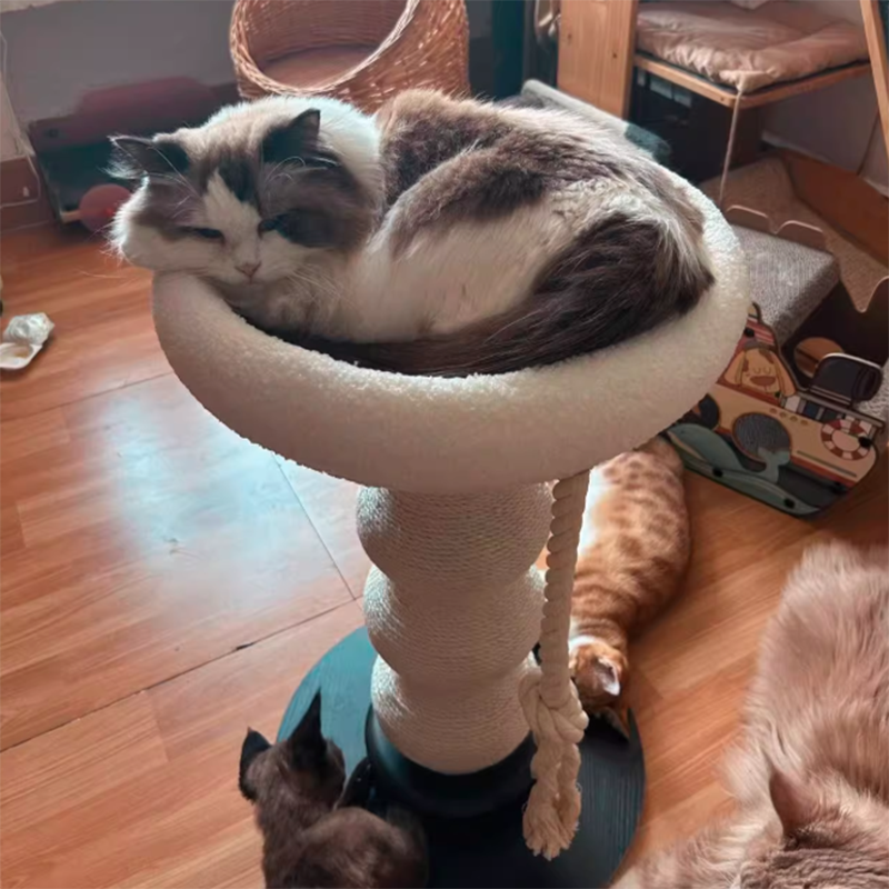 Contemporary Creative Gourd Sisal Rope MDF Scratch-Resistant Space-Saving Cat Tower 2-Tier For Living Room Cuvalon