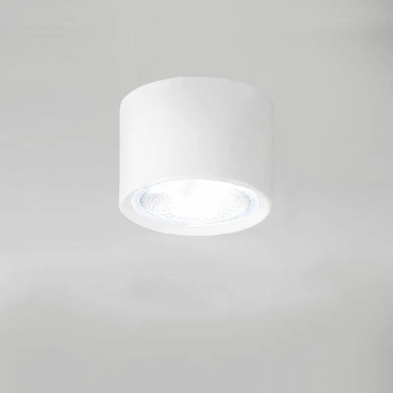Nordic Cylinder Spotlight LED Flush Mount Ceiling Light Cuvalon