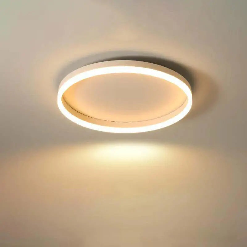 Nordic Minimalist Circle Ring Iron Acrylic LED Flush Mount Ceiling Light Cuvalon
