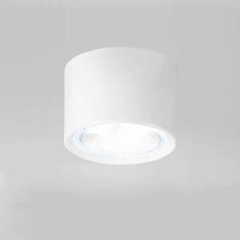 Nordic Cylinder Spotlight LED Flush Mount Ceiling Light Cuvalon