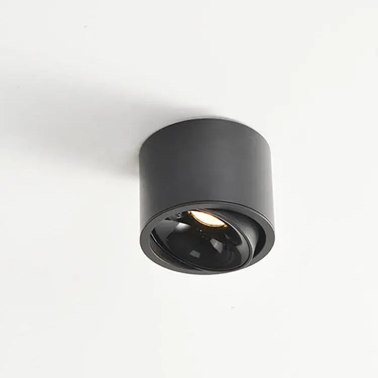 Modern Minimalist Round Spotlight Adjustable LED Flush Mount Ceiling Light Cuvalon