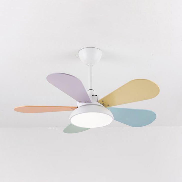 Simple Colorful Round Fan Leaf Kids Downrods Ceiling Fan Light Cuvalon