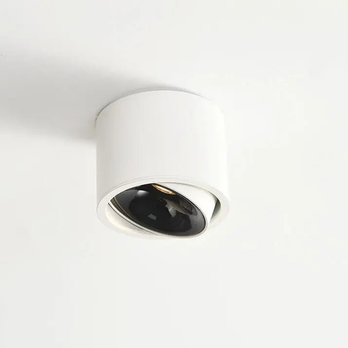 Modern Minimalist Round Spotlight Adjustable LED Flush Mount Ceiling Light Cuvalon