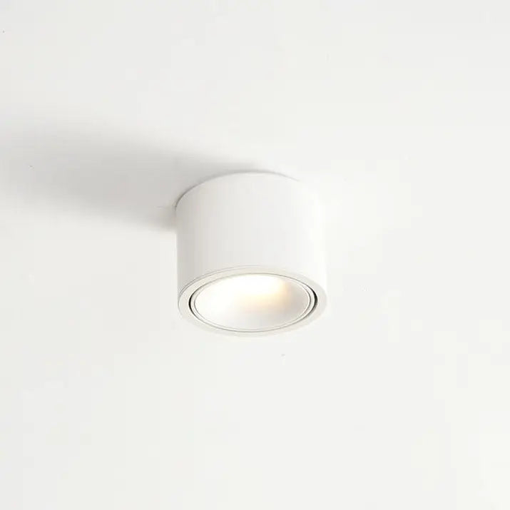 Modern Minimalist Round Spotlight Adjustable LED Flush Mount Ceiling Light Cuvalon